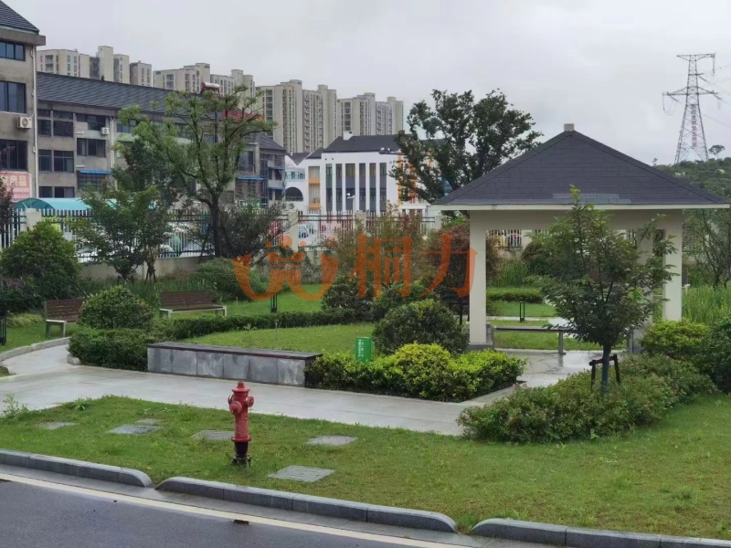 项目情形.jpg